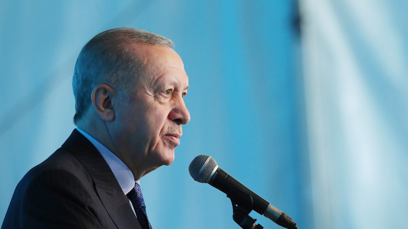 Эрдоган: Турция поддержит членство Швеции и Финляндии в НАТО при их единогласии с Анкарой