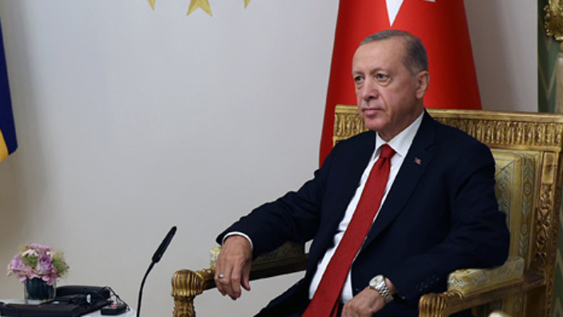 Эрдоган: Путин посетит Турцию в августе