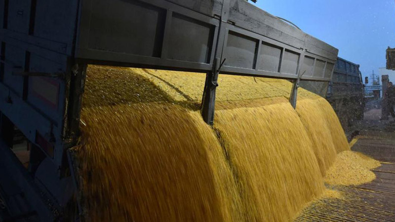 РФ уведомила Анкару, Киев и ООН о возражении против продления зерновой сделки - Захарова