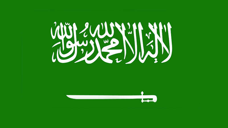 Турция и Саудовская Аравия провели консультации по второму этапу договорённостей по Газе