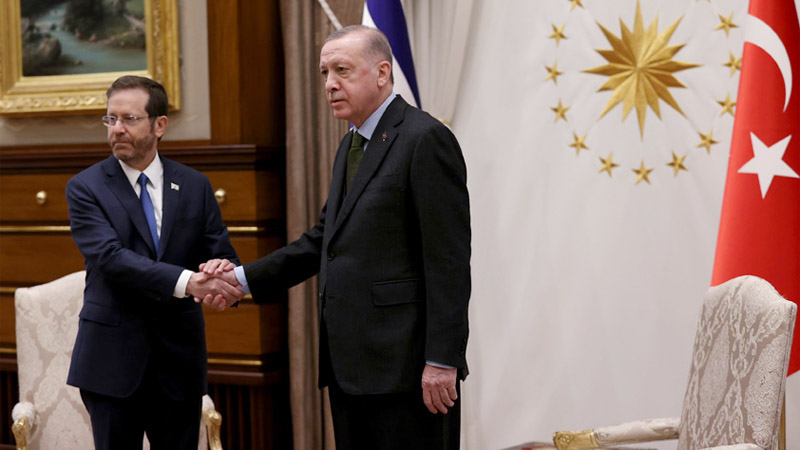Президент Израиля обсудил по телефону борьбу с терроризмом с Эрдоганом