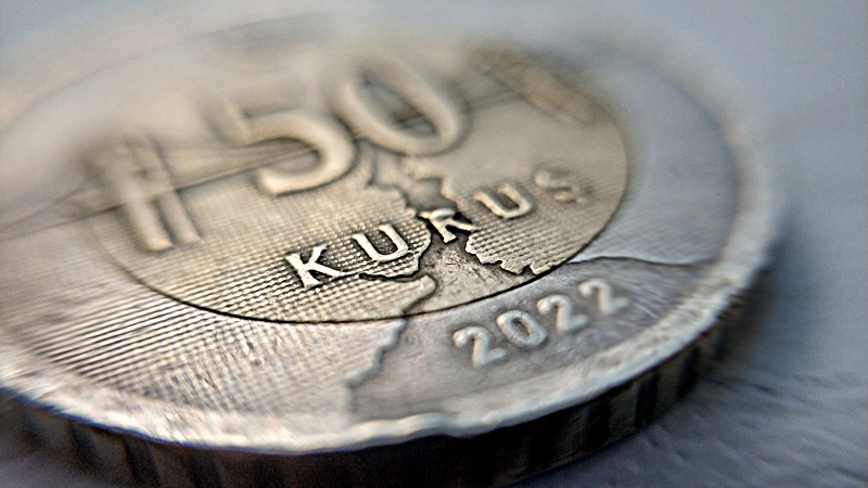 Переход Турции и России к расчетам в рублях защитит турецкие валютные резервы