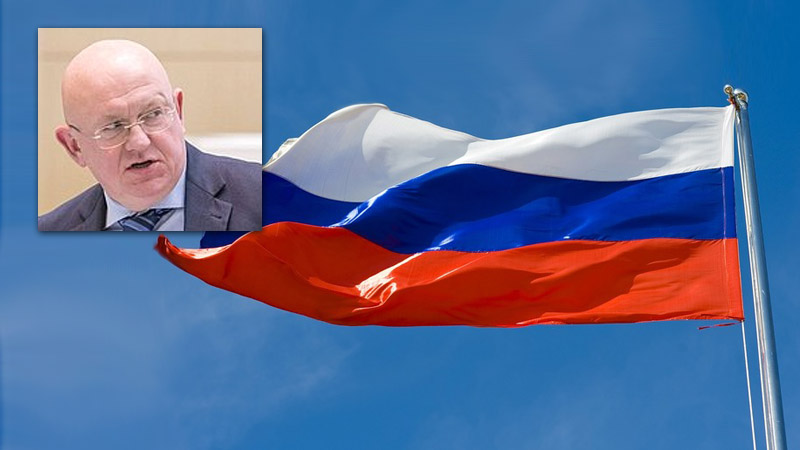 Небензя: Россия продолжит поддерживать законное правительство Сирии
