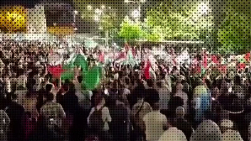 Акции в поддержку Палестины прошли во многих городах Турции