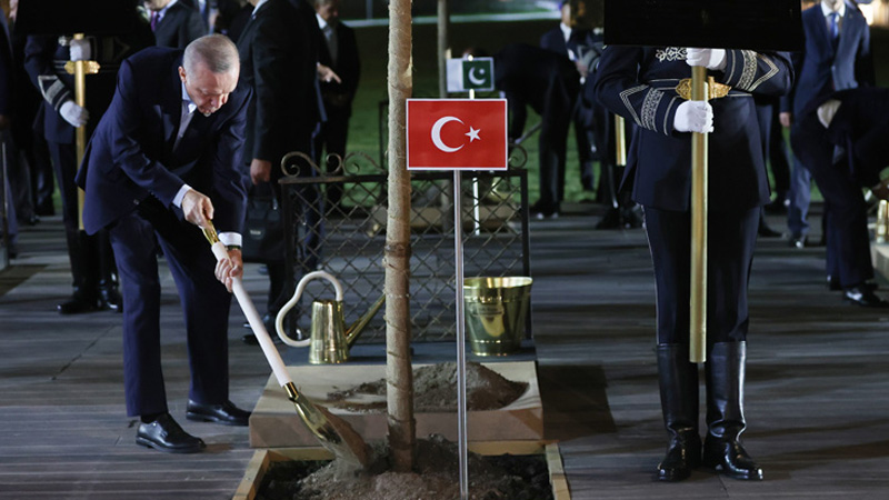Эрдоган заявил, что Турция стремится стать полноправным членом ШОС
