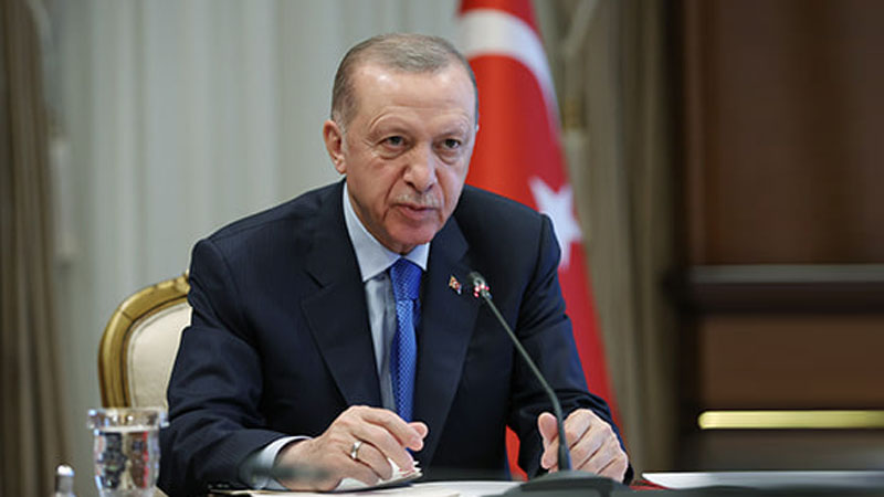 Эрдоган раскритиковал Национальный альянс за сотрудничество с ДПН
