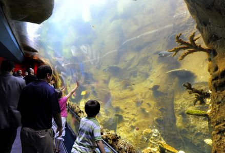 В Турции построили самый большой тематический аквариум в мире