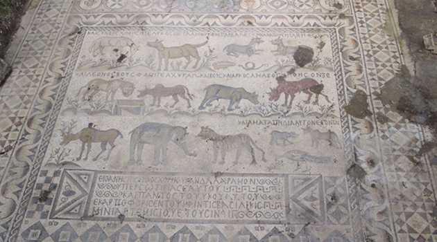 На юге Турции была найдена необычная мозаика