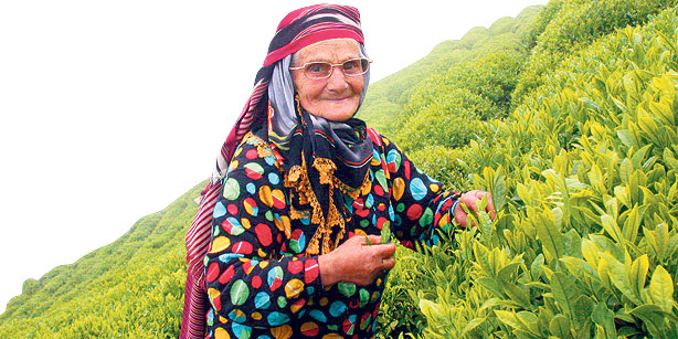 В страну, где растят чай: Ризе и земли лазов